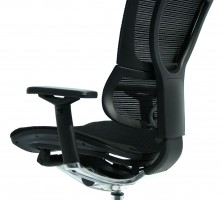 I00 Mesh Ergonomic. Also Has 3D Dynamic Lumbar. 3D Zero Pressure Seat. Back Tilt Tension Adjust